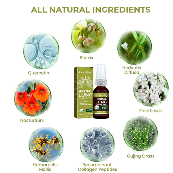 Natural Herbal Spray For Lung And Respiratory Support - Image 3